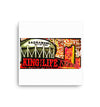 Kinglife CityCanvas